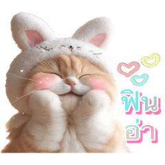 Ging_Cute little_Cat