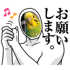 K_20250330201002