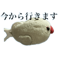 Kaori_20250329224018