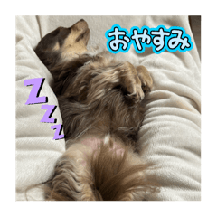 maikoro_20250330223159