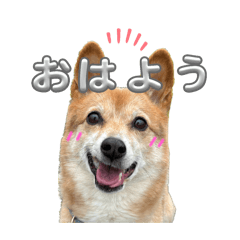 hana_20250330223800