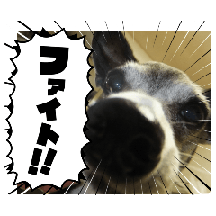 chibi_20250330232242