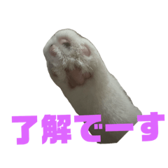 kaori_20250330231430