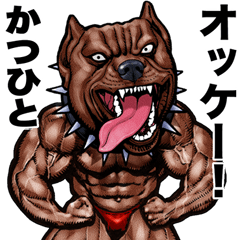 Katsuhito dedicated Muscle macho animal