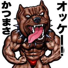 Katsumasa dedicated Muscle macho animal