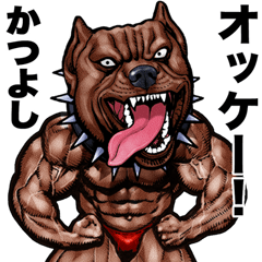 Katsuyoshi dedicated Muscle macho animal