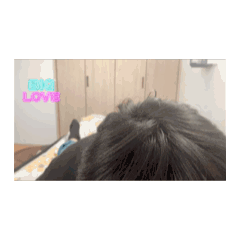 nao_20250330231143