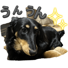 yuri_20250330233149
