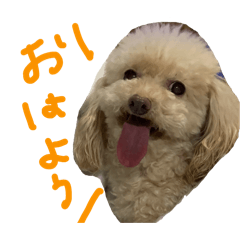 nana_20250331020119