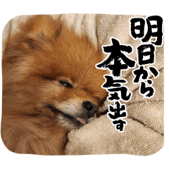 yui_20250331061019