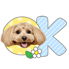 StampNo:5096