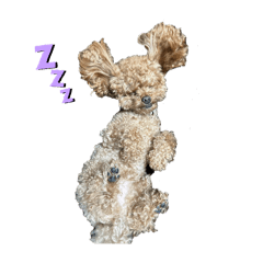 ririan_20250331034615