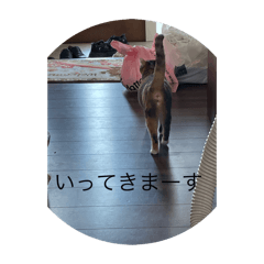 Rinrin_20250331072428