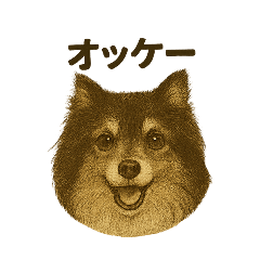 Nao_20250330032713