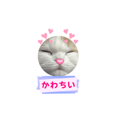 omochi_20250331091441