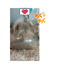 shiori_20250331133116