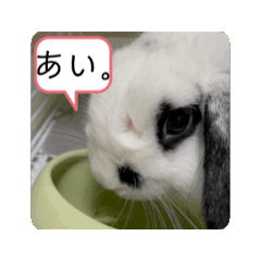 Shio_20250331143038