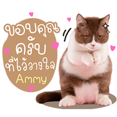 Ammy Cattery