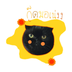 Pariyachat_20250330160712