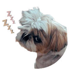 saya_20250331044312 – LINE stickers | LINE STORE