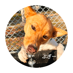yume_20250331120001