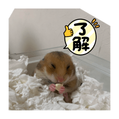 mugi_20250331123439