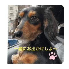 Yamada_20250331124755