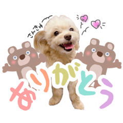 aoi_20250331134600