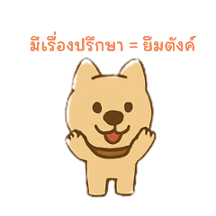 หมาโมโจหน้านิ่ง