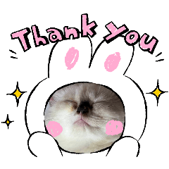 minnie_20250331154729