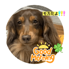 moka_20250331180645