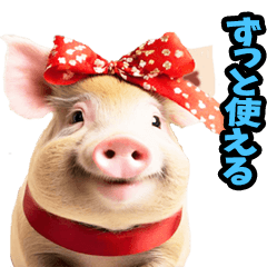 A female pig that can be used forever