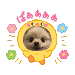 mitsuki_20250331162313