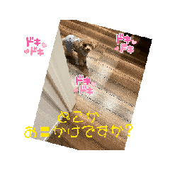 Konatsu_20250331221012