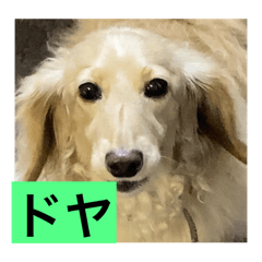 Mike_20250331204459