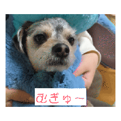 shu_20250401001256