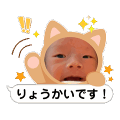 ponzu_20250401085256