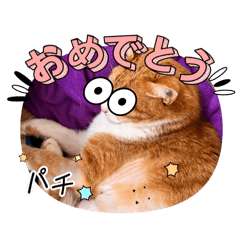 No_20250331211602