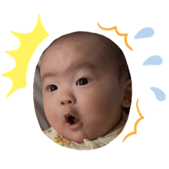 升升第二彈