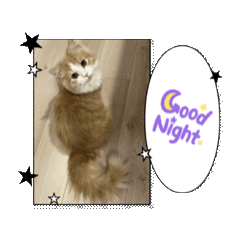 tom_20250401015143