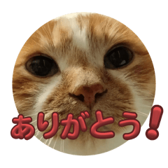 masa_20250331151100