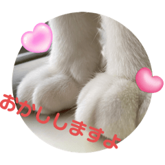 ma_20250331220124