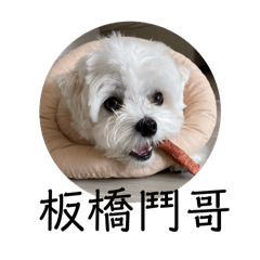 我是鬥哥