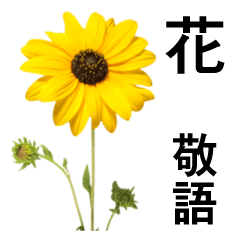 お花の日常スタンプ【敬語編】