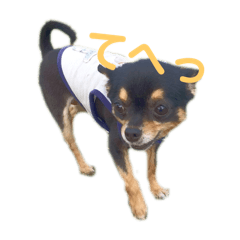 mm_20250331225906