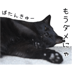 T_20250331230332