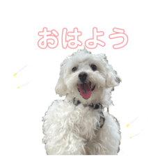 YUI_20250331230609