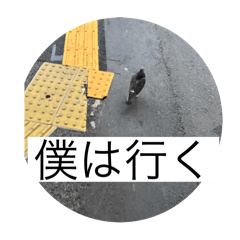 haru_20250330192729