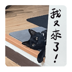 黑糖大鼻子3.0