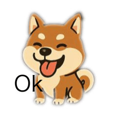 柴犬生活方式